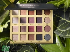 tarte眼影多少钱?tarte眼影盘哪里买?